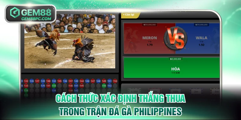 Đá Gà Philippines - Trải Nghiệm Giải Đấu Quy Mô Quốc Tế 3 Cách thức xác định thắng thua trong trận đá gà Philippines