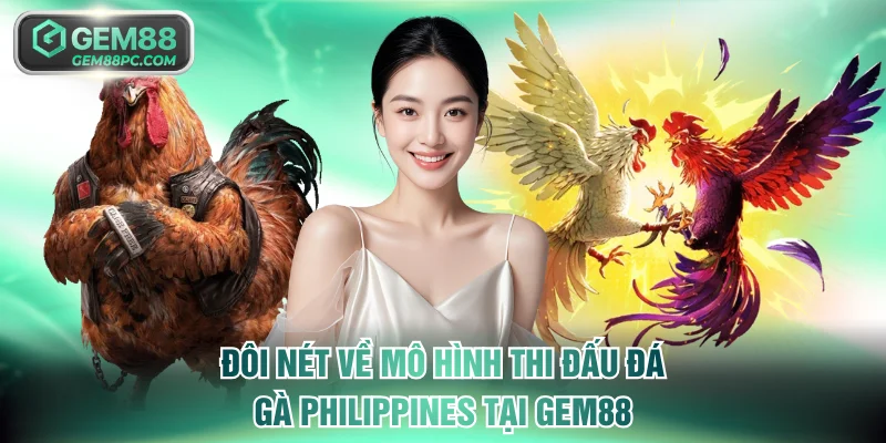 Đá Gà Philippines - Trải Nghiệm Giải Đấu Quy Mô Quốc Tế 2 Đôi nét về mô hình thi đấu đá gà Philippines tại GEM88