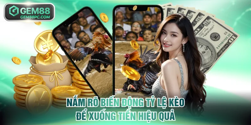 Đá Gà Philippines - Trải Nghiệm Giải Đấu Quy Mô Quốc Tế 4 Nắm rõ biến động tỷ lệ kèo để xuống tiền hiệu quả