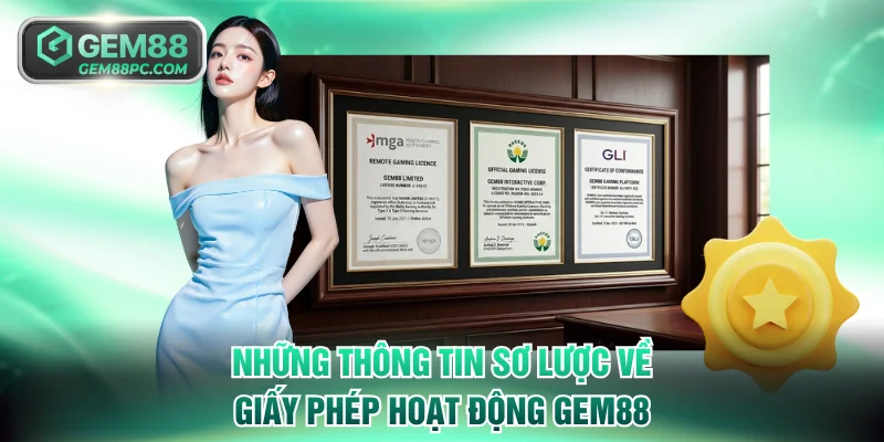 Những thông tin sơ lược về giấy phép hoạt động GEM88